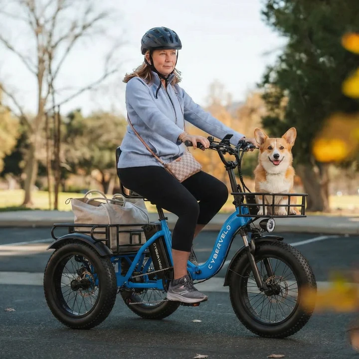 Electric Tricycle for Adults(Removable Battery with Cargo for Women Men) - Image 8
