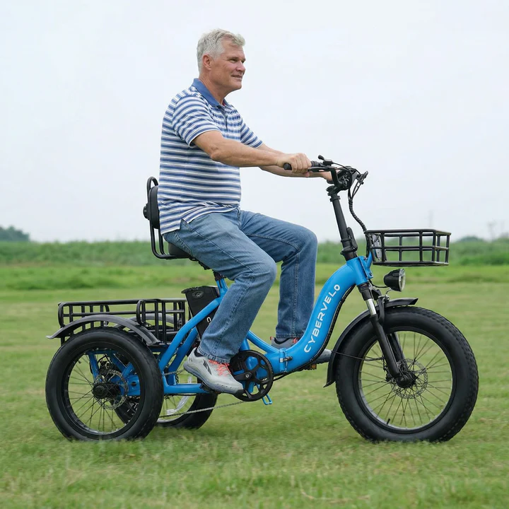 Electric Tricycle for Adults(Removable Battery with Cargo for Women Men) - Image 7