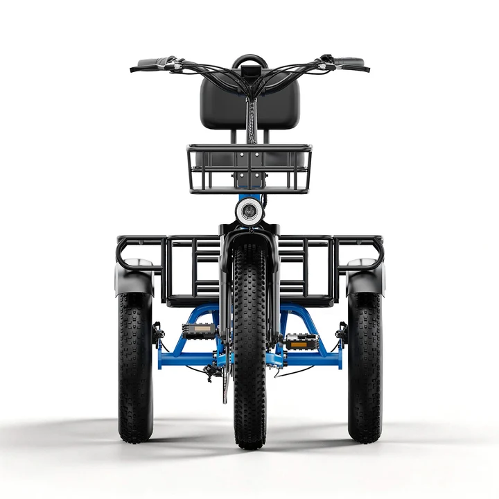 Electric Tricycle for Adults(Removable Battery with Cargo for Women Men) - Image 3